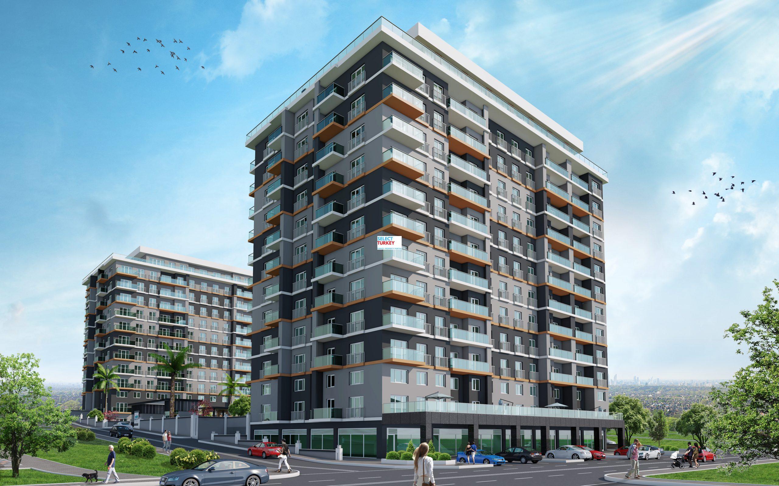 212 sea palm