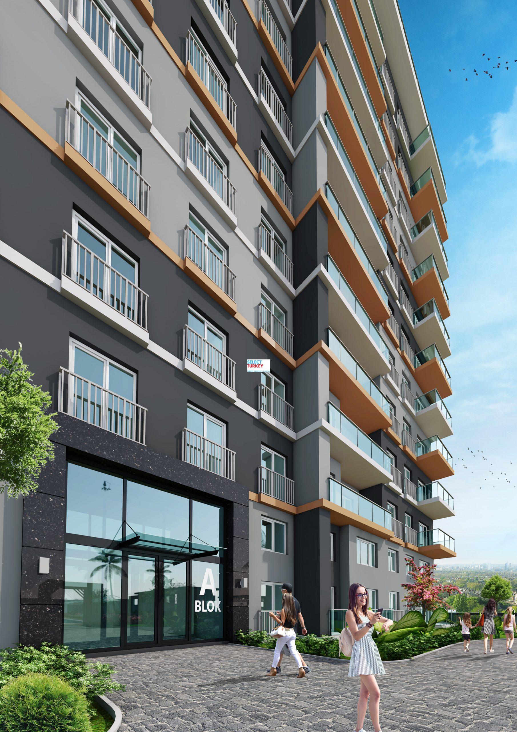212 sea palm