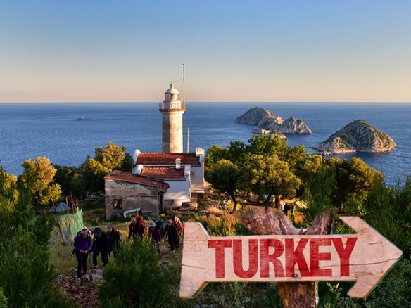 Selectturkey