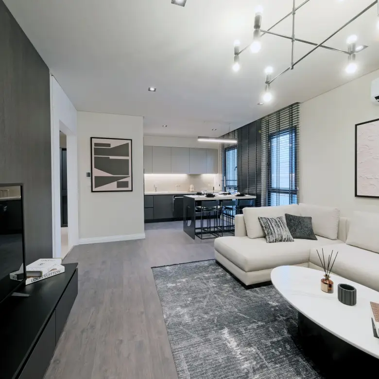 dia centro living room tv
