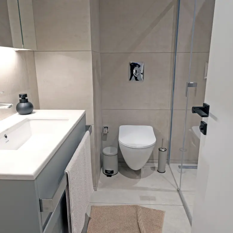 dia centro bathroom